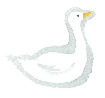 白鳥 水彩,動物,手描き,白鳥,鳥のイラスト素材