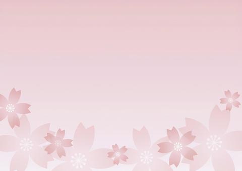 Sakura Background 3, JPG và AI Sakura Background 3, cây anh đào, lý lịch, mùa xuân, JPG và AI