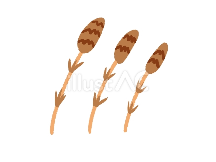 つくし採り つくし採り つくし,植物,春のイラスト素材