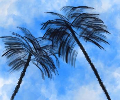 Palm tree silhouette, palm tree, summer, blue sky, JPG and PNG