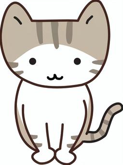 座っている猫 猫,子猫,お座り,しっぽ,キジ白のイラスト素材