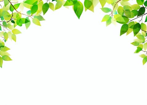 Watercolor style fresh green background illustration, JPG and PNG Watercolor style fresh green background illustration, fresh green, early summer, background, JPG and PNG