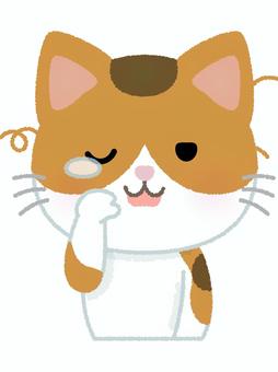 三毛猫寝起き 三毛猫,寝起き,眠い,涙目,ネコ,キャット,動物,ペット,日本猫,和猫のイラスト素材