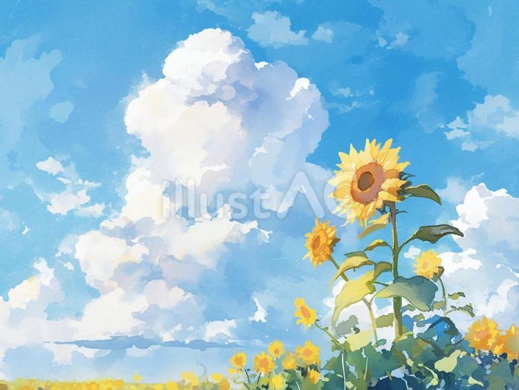ひまわりと入道雲の夏の風景。水彩画風素材イラスト - No: 25363330