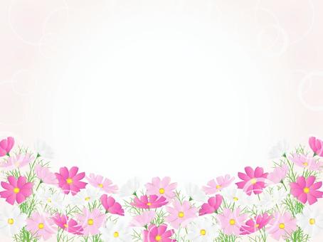 コスモスのフレーム、背景37 コスモス,秋桜,背景,フレーム,水彩,手描き,秋,花,花畑,枠のイラスト素材