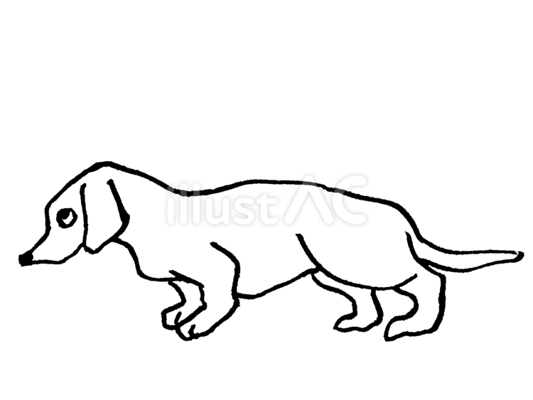 様子をうかがうダックス 犬,ペット,ダックスのイラスト素材