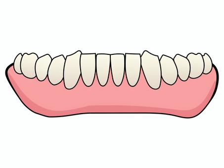 総義歯 正面イラスト(下顎・主線あり) 総義歯 正面イラスト(下顎・主線あり) 総義歯,下顎,入れ歯,歯科,歯科技工,医療,教材用イラスト,正面,デフォルメ,カラーイラストのイラスト素材