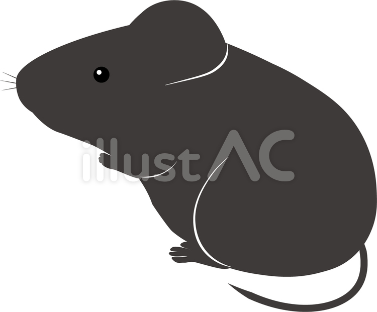 マウス　黒 黒,マウス,実験のイラスト素材