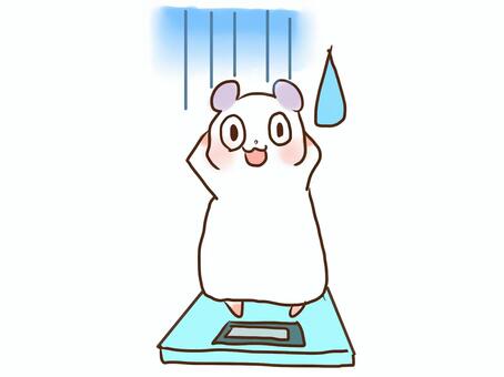 体重計とハムスター, JPG 体重計とハムスター, 햄스터, 무게, 굵은, JPG
