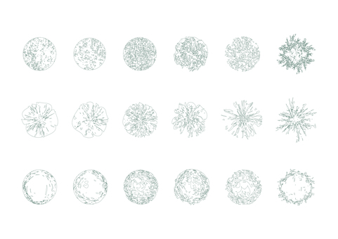 樹木の添景_56_真上からの線画_18種 木,平面図,植栽,アウトライン,cad,線,輪郭,点景,プレゼンボード,切り抜きのイラスト素材
