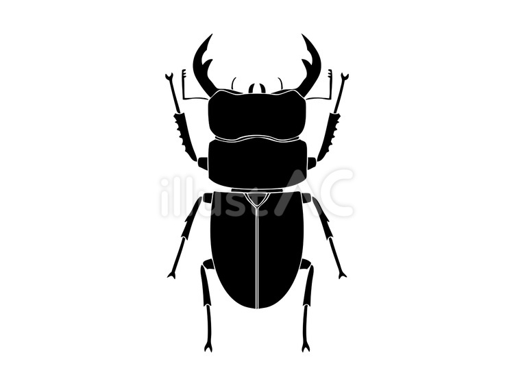 クワガタ（切り絵風） クワガタムシ,白黒,切り絵のイラスト素材