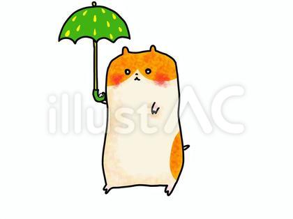 雨降りハムスター