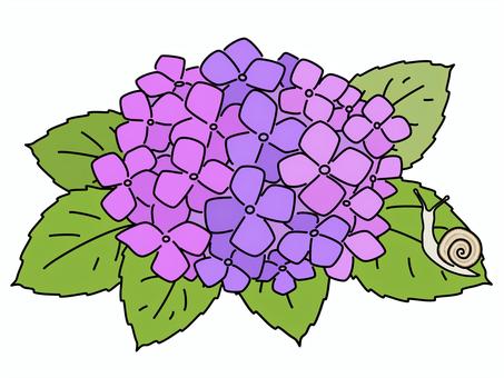 あじさいとカタツムリ_紫