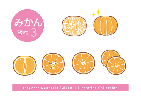 みかんのイラストセット3 みかんのイラストセット3 剥く,みかん,皮,薄皮,白い,スジ,半分,断面,輪切り,まとめのイラスト素材