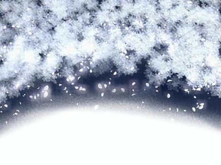 雪櫻桃樹, JPG 和 PNG 雪櫻桃樹, , JPG 和 PNG