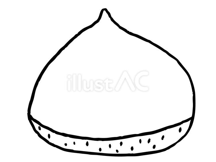 栗（線画） 栗,秋,旬のイラスト素材