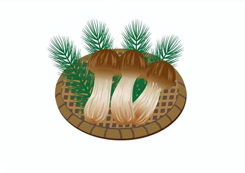 松茸01 松茸,きのこ,秋,食べ物,食欲の秋,収穫,キノコ狩り,まつたけ,味覚の秋,ざるのイラスト素材