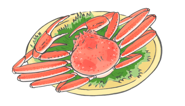 ズワイガニのイラスト ズワイガニ,茹でガニ,冬,甲殻類,蟹,筆,筆ペンのイラスト素材