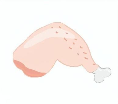 鶏肉 鶏肉,生肉,食材,食,鶏の足のイラスト素材