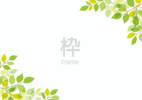 シンプルな新緑のフレーム 緑,フレーム,新緑,木の葉,背景,枠,初夏,葉,葉っぱ,gwのイラスト素材