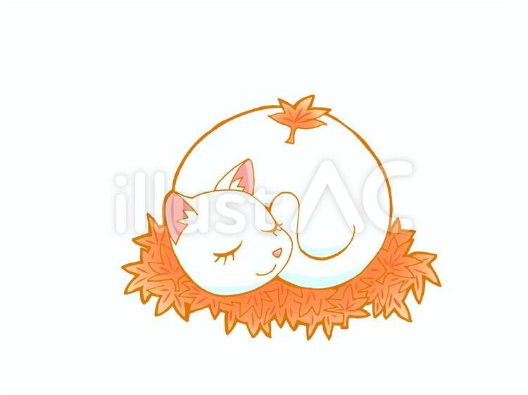 もみじの上で寝る猫 猫,ネコ,オレンジのイラスト素材