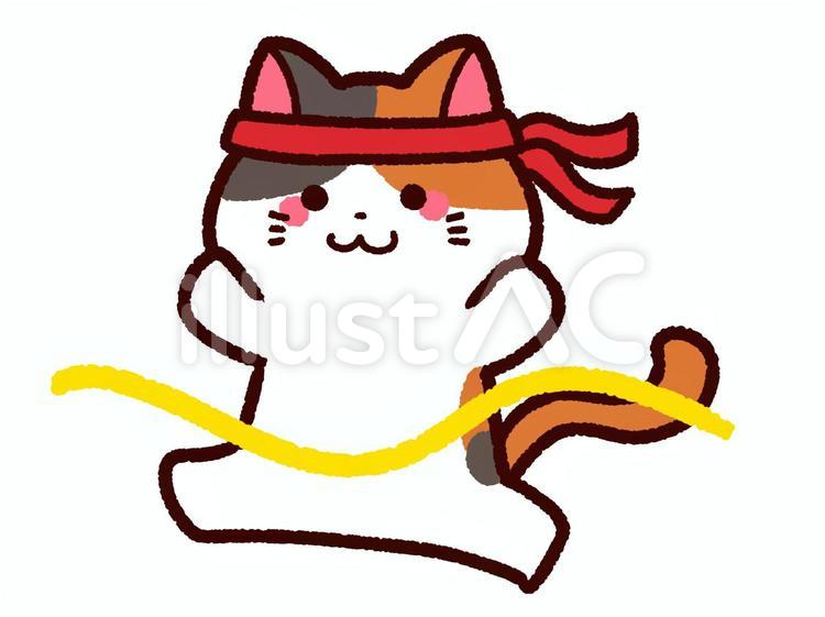 運動会でゴールする三毛猫　赤組 運動会,ゴール,動物のイラスト素材