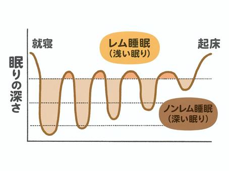 睡眠リズムのグラフ 睡眠,リズム,グラフ,レム睡眠,ノンレム睡眠,就寝,起床のイラスト素材