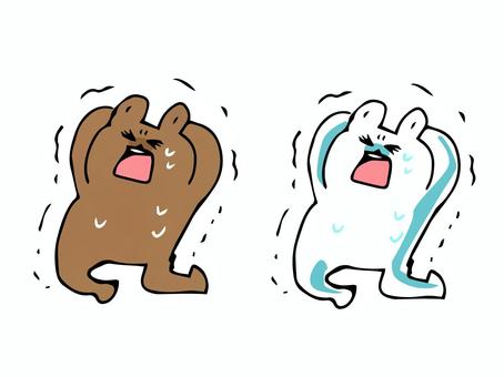 Illustration, bear, polar bear, shock, 