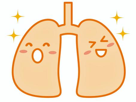 Illustration, lung, organ, in vivo, 