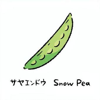 手描きのさやえんどう2_名称入 さやえんどう,野菜,アイコン,食べ物,シンプル,食材,健康,料理,農業,自然のイラスト素材