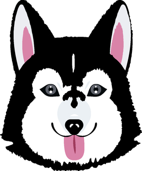 舌を出している犬のイラスト 舌を出している犬のイラスト 犬,動物,シベリアンハスキーのイラスト素材