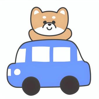 車に乗った柴犬　かわいい　キャラクター 車,柴犬,豆柴,キャラクター,乗る,飛び出す,ドライブ,移動,乗用車,お出かけのイラスト素材