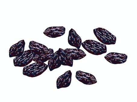 干しぶどう 干しブドウ,レーズン,ドライフルーツ,乾燥,果実,食材,食べ物のイラスト素材