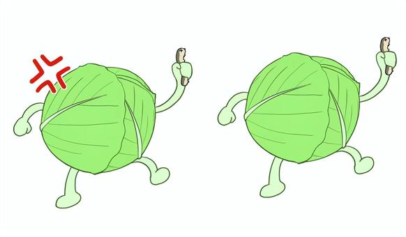 怒るキャベツ キャベツ,葉,野菜,農業,農家,収穫,食べ物,食料,食材,自然のイラスト素材