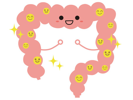 善玉菌で腸内環境が良い状態の大腸 腸内環境,大腸,善玉菌,腸内フローラ,健康,元気,腸内,整腸,お腹,腹部のイラスト素材