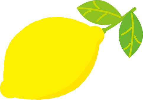 レモンひとつ レモン,果物,柑橘類,葉,シトラス,フルーツ,レモンサワー,食べ物,植物,レモンジュースのイラスト素材