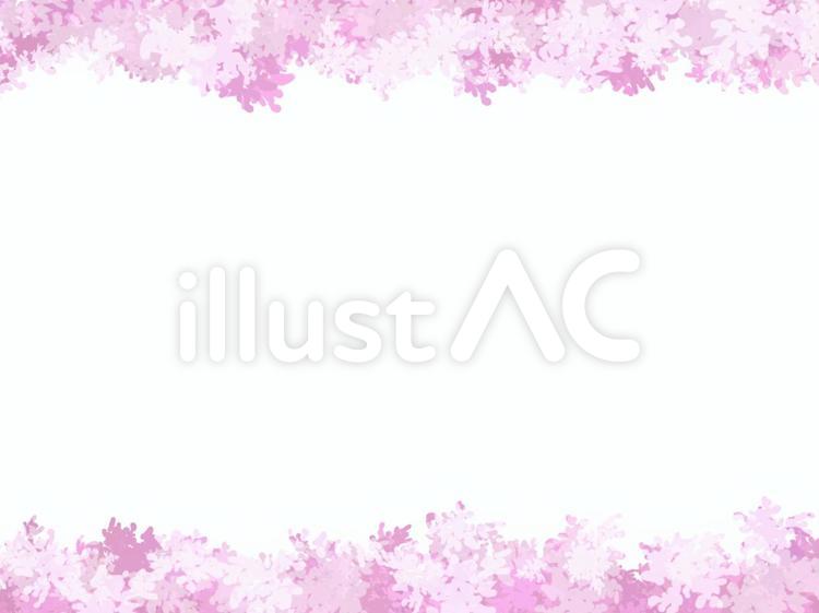 桜フレーム１０ 桜,春,フレームのイラスト素材