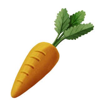 Illustration, ginseng, vegetables, food, JPG and PNG