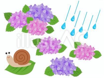 梅雨 あじさい個々 カタツムリ