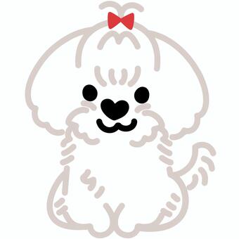 ハート鼻のマルチーズ（おすわり）2 マルチーズ,トイプードル,犬,動物,ハート,鼻,おすわり,シンプル,かわいい,キュートのイラスト素材
