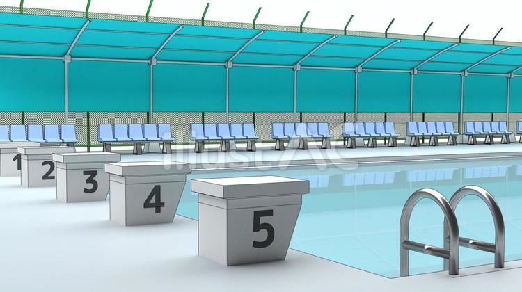 Free Vectors | School swimming pool