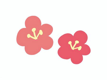 小さな梅の花イラスト