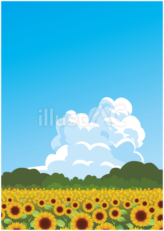 夏のひまわり畑風景 夏,夏季,ひまわりのイラスト素材