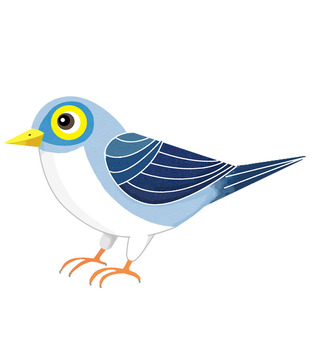 Blue Bird, aves, azul, pássaro, JPG and PNG