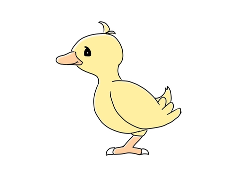 Illustration, chick, to take, a pet, 