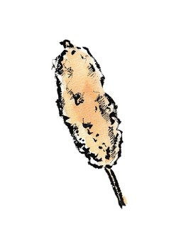 居酒屋メニュー　焼き鳥　鶏つくね塩味 焼き鳥,食べ物,居酒屋メニュー,鶏つくね,塩味,おつまみ,串,絵手紙風,毛筆,筆ペンのイラスト素材