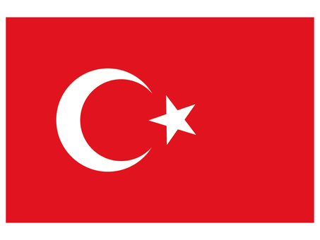 トルコ国旗 トルコ,国旗,中東,国家,シンボル,星,フラッグのイラスト素材