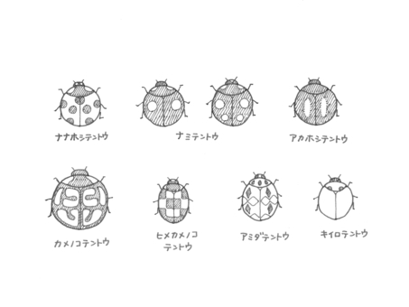 Illustration, ladybird, nana hoshi tentou, namitento, 