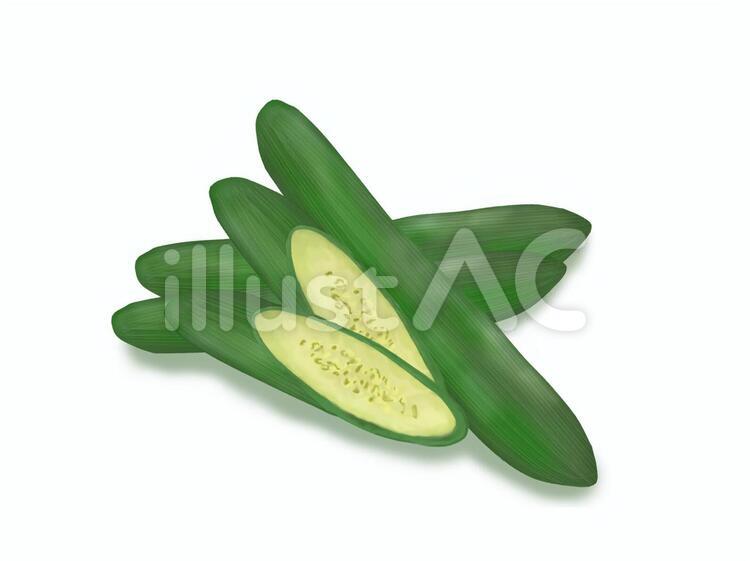 きゅうりのイラスト 野菜,キュウリ,食べ物のイラスト素材