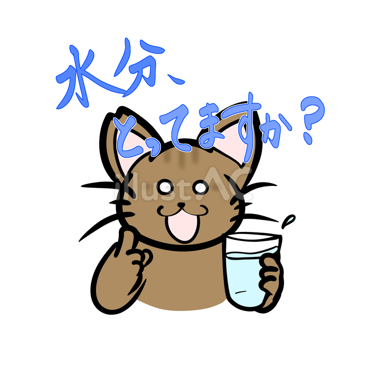 水分補給を勧めてくるねこ 猫,茶トラ,さくら猫のイラスト素材